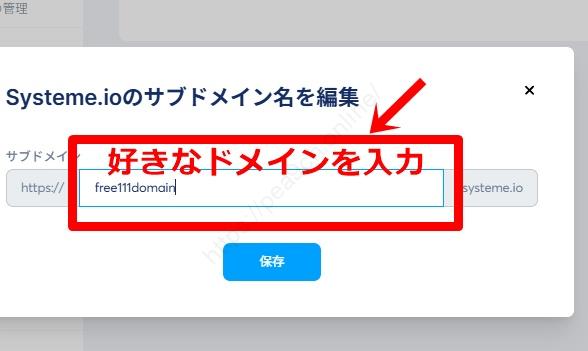 Systeme.io　独自ドメインの入力画面1